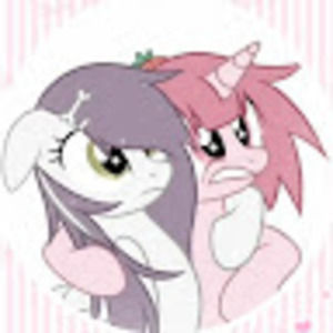 Meet your Posher, Yoko